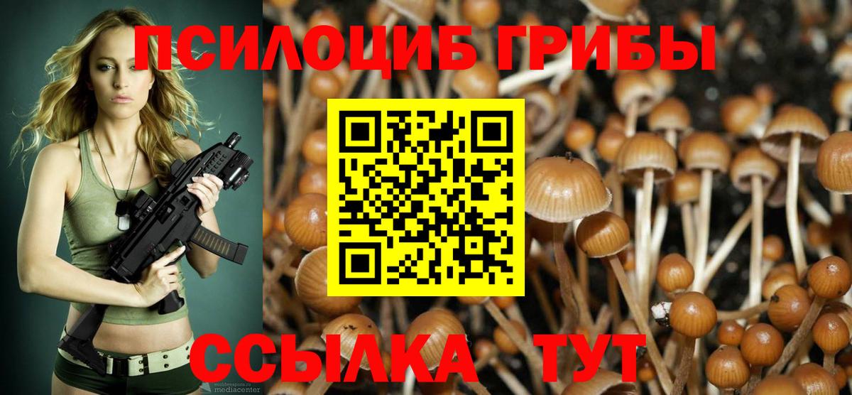 Псилоцибиновые грибы Psilocybine cubensis  Вход с VPN  Псилоцибиновые грибы прущие грибы  Фурманов 